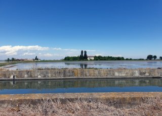 Le risaie del Vercellese | Tour fotografico guidato